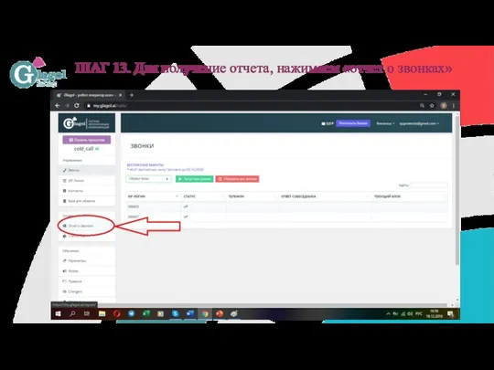ШАГ 13. Для получение отчета, нажимаем «отчет о звонках»