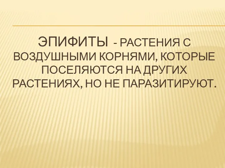 ЭПИФИТЫ - РАСТЕНИЯ С ВОЗДУШНЫМИ КОРНЯМИ, КОТОРЫЕ ПОСЕЛЯЮТСЯ НА ДРУГИХ РАСТЕНИЯХ, НО НЕ ПАРАЗИТИРУЮТ.