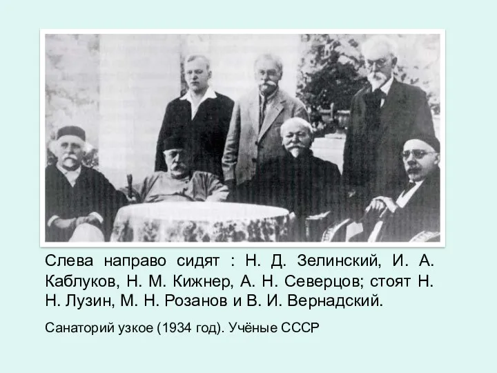 Слева направо сидят : Н. Д. Зелинский, И. А. Каблуков,
