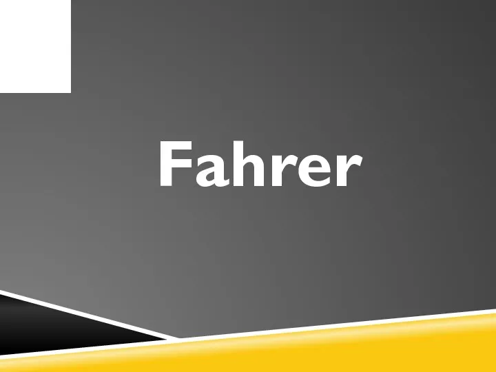 Fahrer