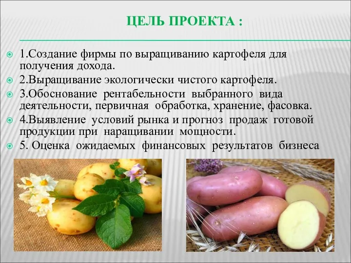 ЦЕЛЬ ПРОЕКТА : 1.Создание фирмы по выращиванию картофеля для получения дохода. 2.Выращивание экологически