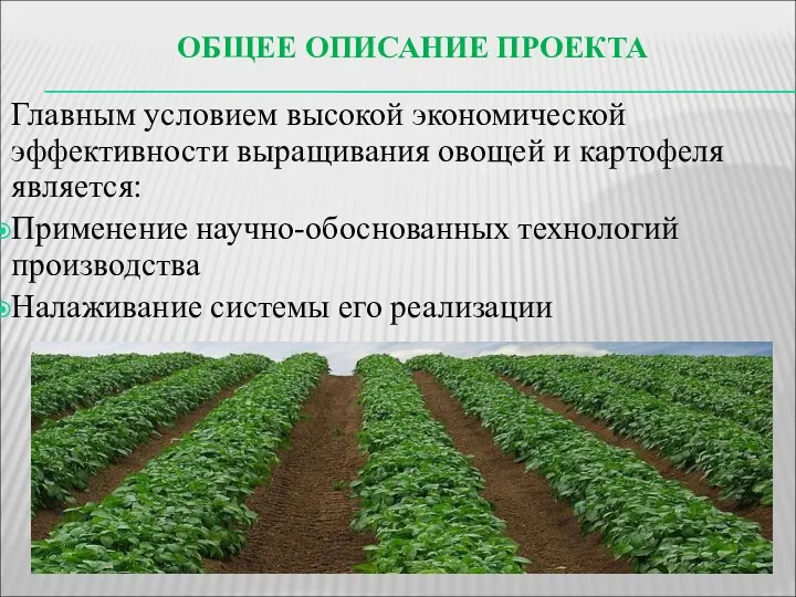 ОБЩЕЕ ОПИСАНИЕ ПРОЕКТА Главным условием высокой экономической эффективности выращивания овощей и картофеля является: