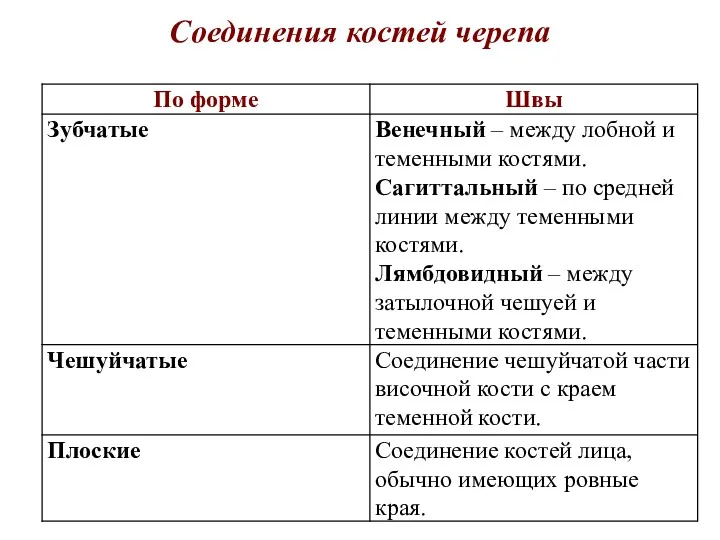 Соединения костей черепа