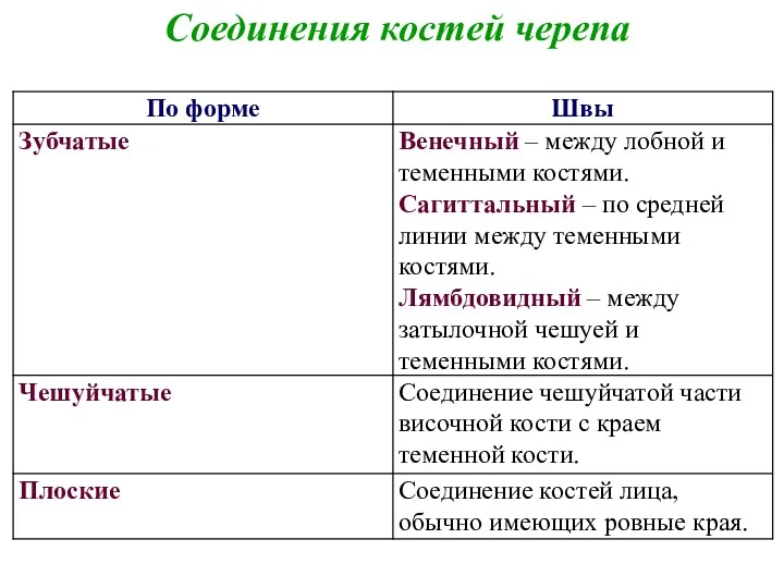 Соединения костей черепа