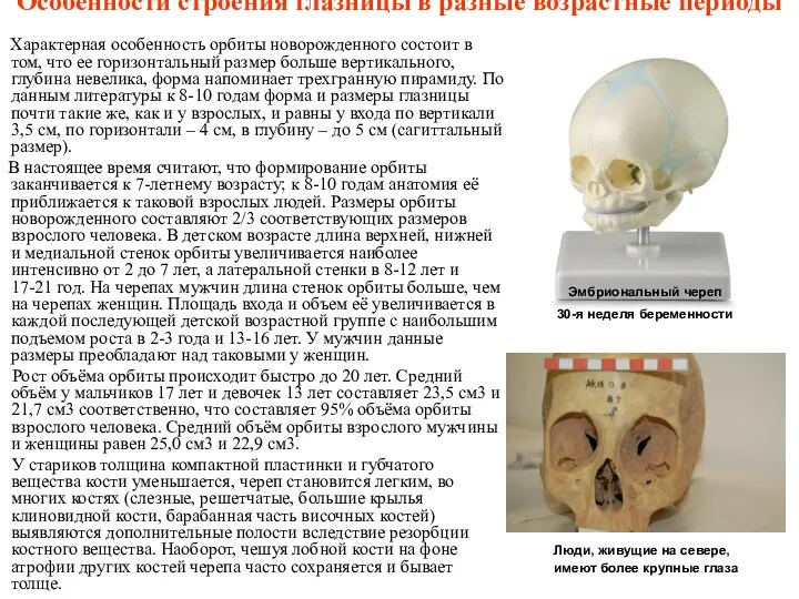 Особенности строения глазницы в разные возрастные периоды Характерная особенность орбиты