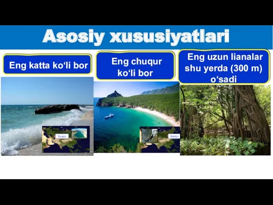 Asosiy xususiyatlari Eng chuqur ko‘li bor Eng uzun lianalar shu