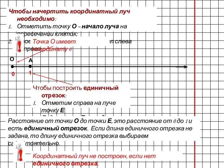 Чтобы начертить координатный луч необходимо: Отметить точку О – начало