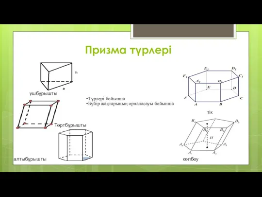 Призма түрлері Түрлері бойынша Бүйір жақтарының орналасауы бойынша үшбұрышты Төртбұрышты алтыбұрышты тік көлбеу