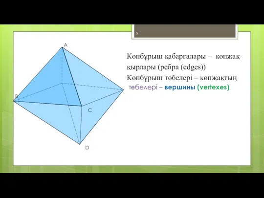 Көпбұрыш қабарғалары – көпжақ қырлары (ребра (edges)) Көпбұрыш төбелері –