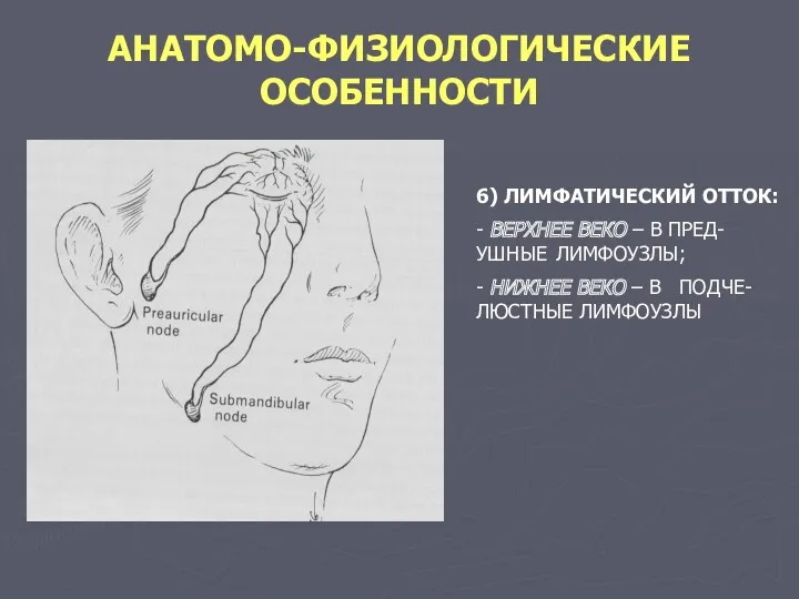 АНАТОМО-ФИЗИОЛОГИЧЕСКИЕ ОСОБЕННОСТИ 6) ЛИМФАТИЧЕСКИЙ ОТТОК: - ВЕРХНЕЕ ВЕКО – В