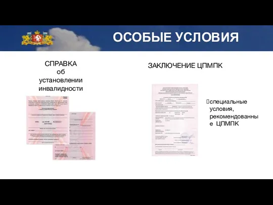 СПРАВКА об установлении инвалидности ЗАКЛЮЧЕНИЕ ЦПМПК специальные условия, рекомендованные ЦПМПК ОСОБЫЕ УСЛОВИЯ