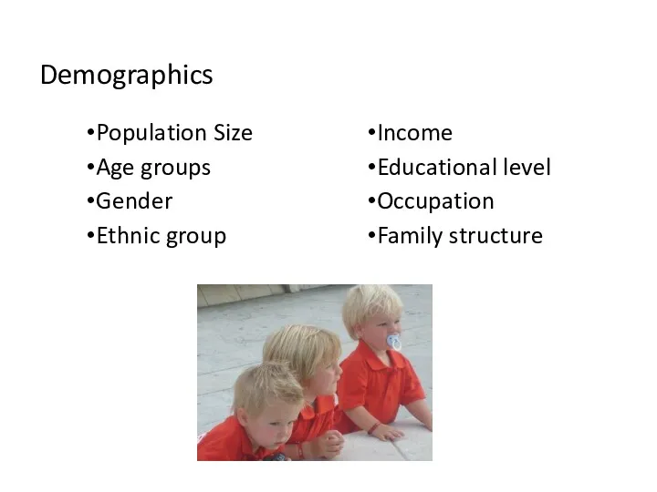 Demographics Population Size Age groups Gender Ethnic group Income Educational level Occupation Family structure