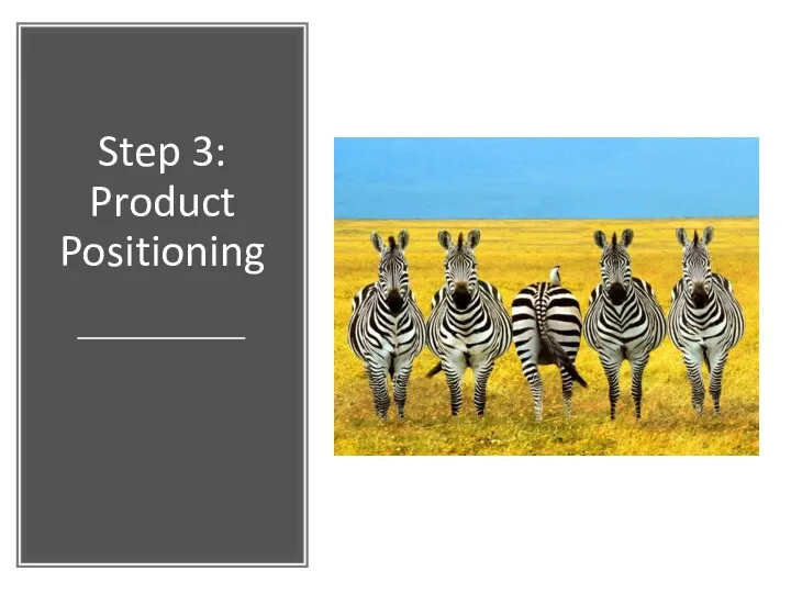 Step 3: Product Positioning