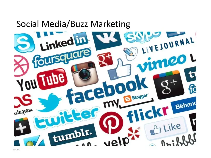 12- Social Media/Buzz Marketing