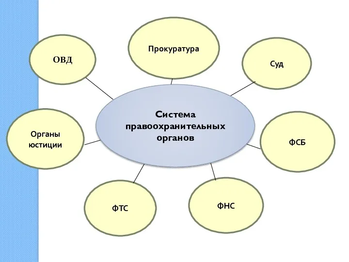 Прокуратура Суд ОВД Органы юстиции ФСБ ФТС ФНС Система правоохранительных органов