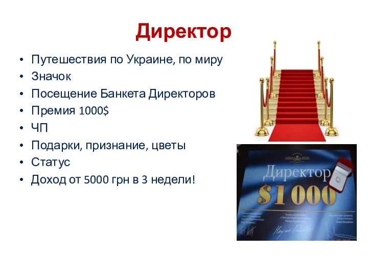 Директор Путешествия по Украине, по миру Значок Посещение Банкета Директоров Премия 1000$ ЧП