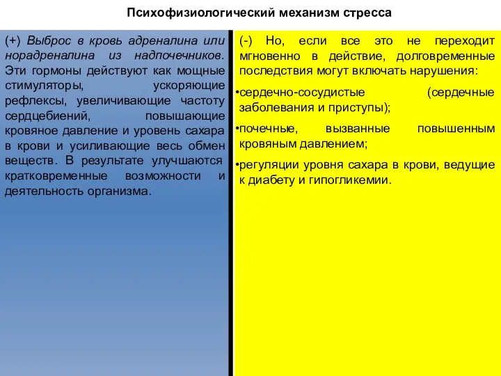 Психофизиологический механизм стресса (+) Выброс в кровь адреналина или норадреналина