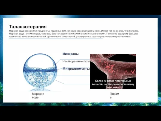 Талассотерапия Морская вода содержит ингредиенты, подобные тем, которые содержат клетки