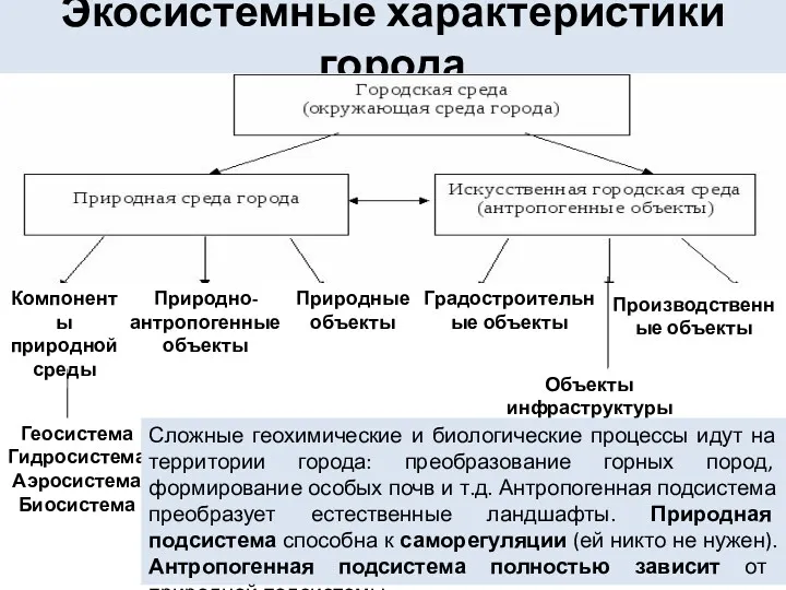 Экосистемные характеристики города Компоненты природной среды Природно-антропогенные объекты Природные объекты