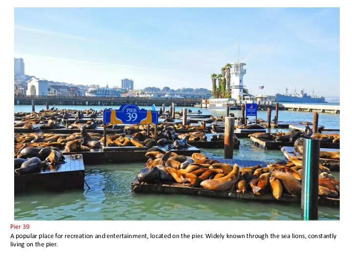 Pier 39 A popular place for recreation and entertainment, located