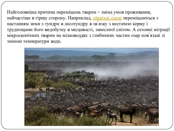 Найголовніша причина переміщень тварин - зміна умов проживання, найчастіше в