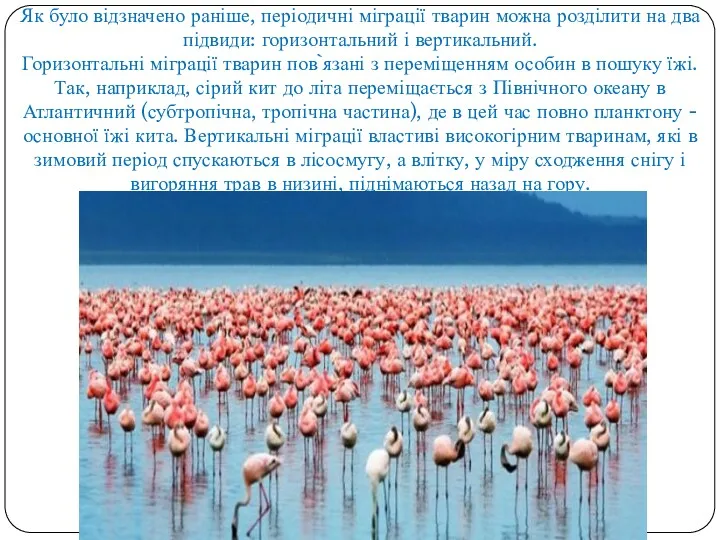 Як було відзначено раніше, періодичні міграції тварин можна розділити на