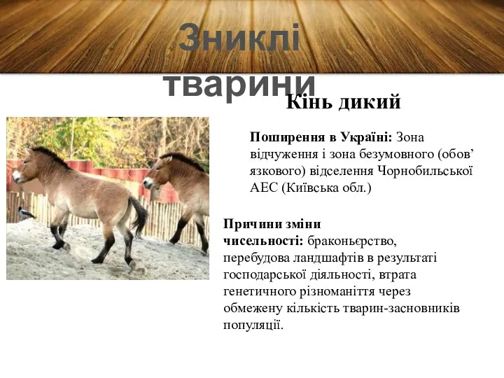 Зниклі тварини Кінь дикий Поширення в Україні: Зона відчуження і