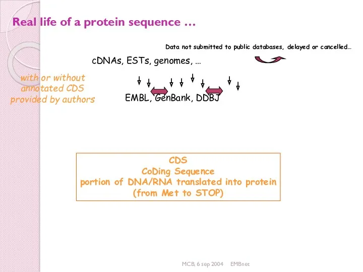 MCB, 6 sep 2004 EMBnet Real life of a protein