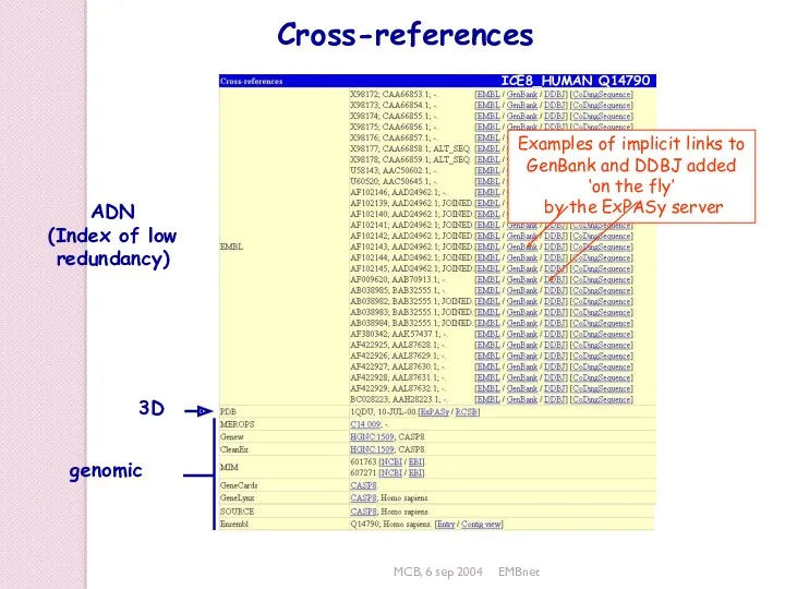 MCB, 6 sep 2004 EMBnet Cross-references ADN (Index of low redundancy) ICE8_HUMAN Q14790