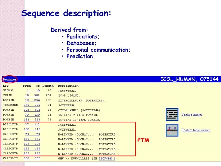 ICOL_HUMAN, O75144