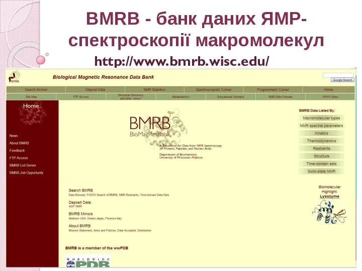 http://www.bmrb.wisc.edu/ BMRB - банк даних ЯМР-спектроскопії макромолекул