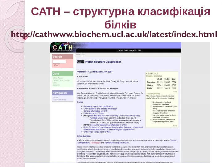 http://cathwww.biochem.ucl.ac.uk/latest/index.html CATH – структурна класифікація білків