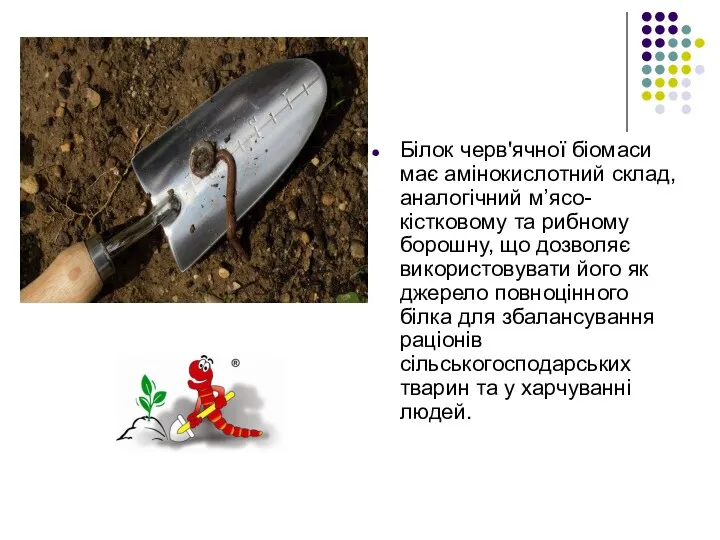 Білок черв'ячної біомаси має амінокислотний склад, аналогічний м’ясо-кістковому та рибному