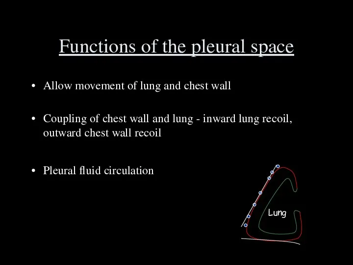 Functions of the pleural space Allow movement of lung and