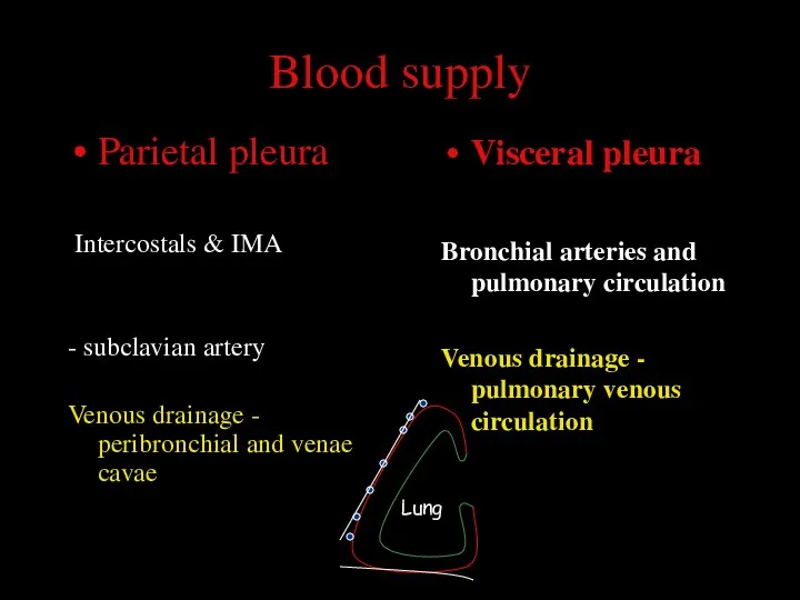 Blood supply Parietal pleura Intercostals & IMA - subclavian artery
