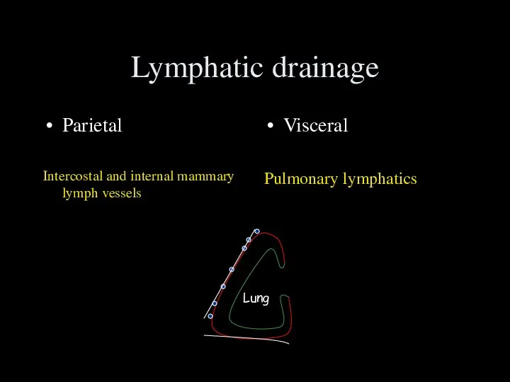 Lymphatic drainage Parietal Intercostal and internal mammary lymph vessels Visceral Pulmonary lymphatics Lung