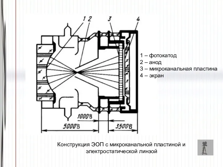 Конструкция ЭОП с микроканальной пластиной и электростатической линзой 1 –