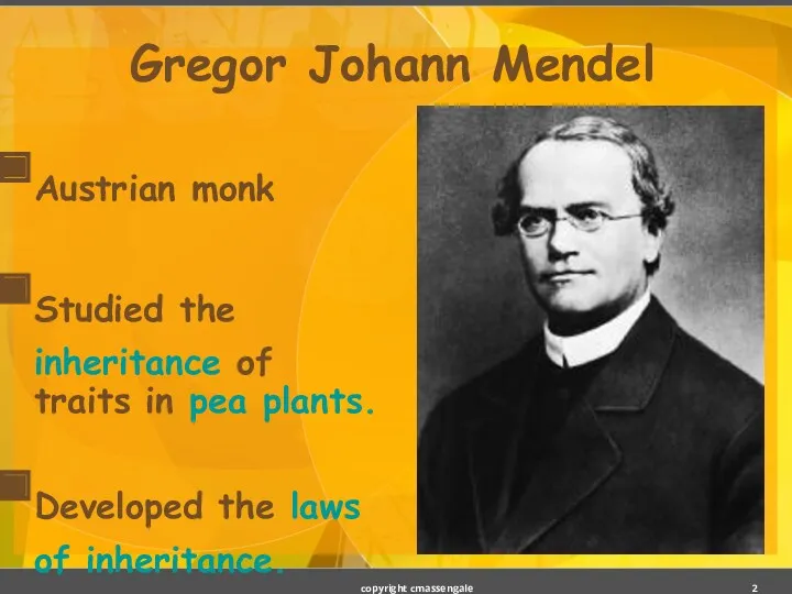 Gregor Johann Mendel Austrian monk Studied the inheritance of traits