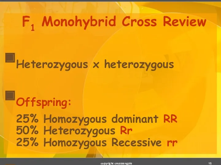 F1 Monohybrid Cross Review Heterozygous x heterozygous Offspring: 25% Homozygous