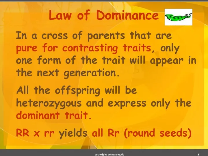 Law of Dominance In a cross of parents that are