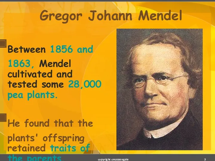 Gregor Johann Mendel Between 1856 and 1863, Mendel cultivated and