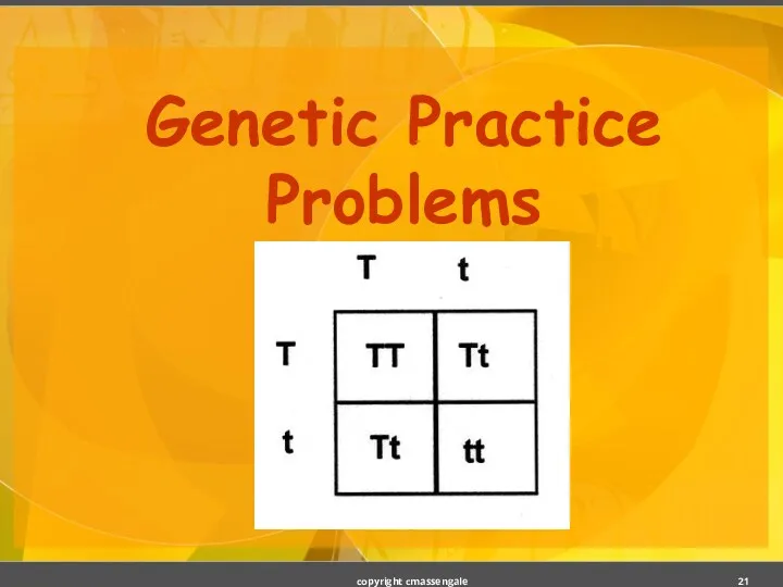 Genetic Practice Problems copyright cmassengale