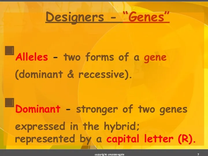 Designers - “Genes” Alleles - two forms of a gene