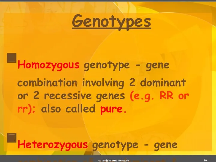 Genotypes Homozygous genotype - gene combination involving 2 dominant or