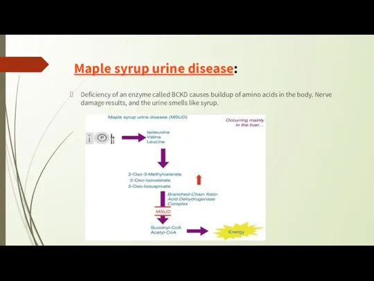 Maple syrup urine disease: Deficiency of an enzyme called BCKD