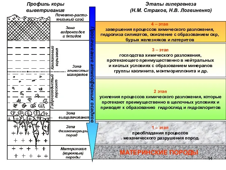 Этапы гипергенеза (Н.М. Страхов, Н.В. Логвиненко) Профиль коры выветривания 4