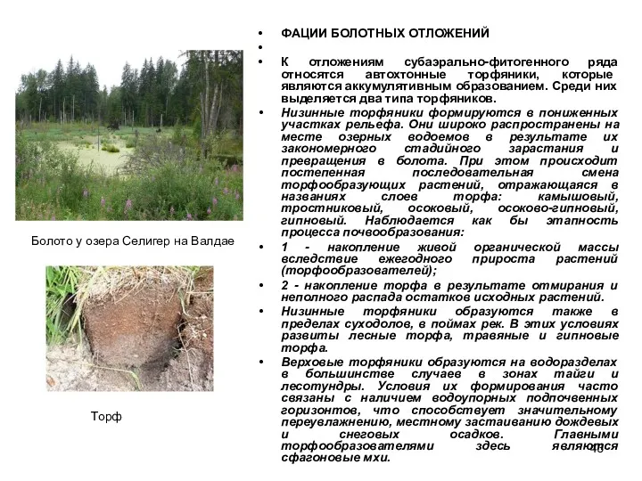 ФАЦИИ БОЛОТНЫХ ОТЛОЖЕНИЙ К отложениям субаэрально-фитогенного ряда относятся автохтонные торфяники,