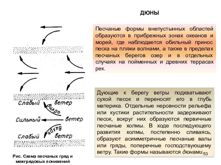 Рис. Схема песчаных гряд и межгрядовых понижений Песчаные формы внепустынных