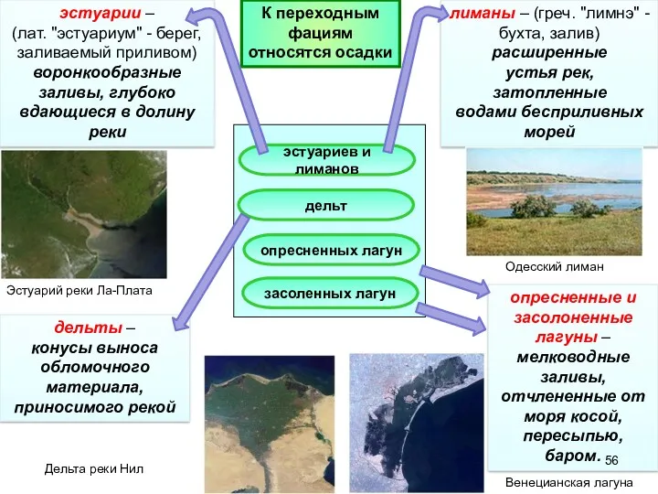 К переходным фациям относятся осадки опресненных лагун засоленных лагун эстуариев