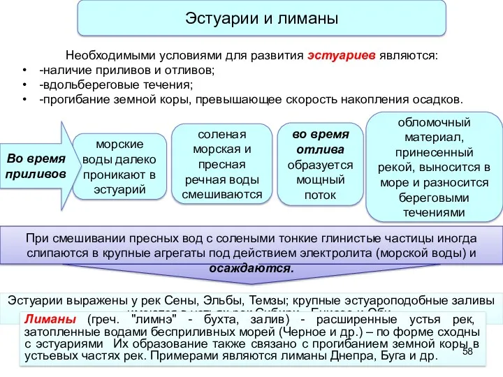 Эстуарии выражены у рек Сены, Эльбы, Темзы; крупные эстуароподобные заливы